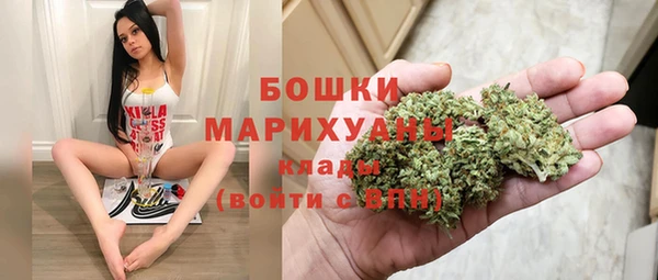гидра Белоозёрский