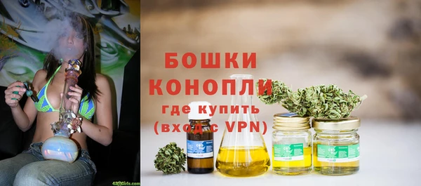 гидра Белокуриха