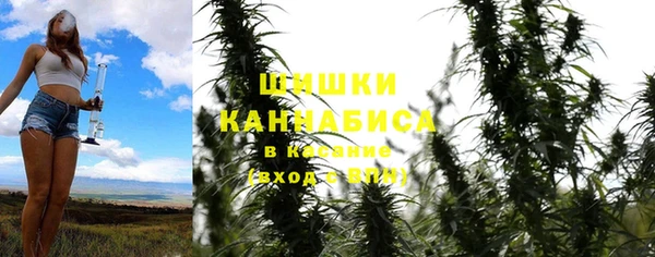 гидра Белокуриха